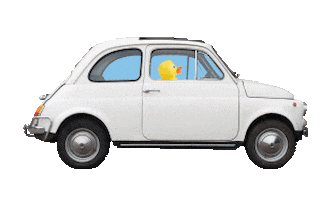 duck Sticker by Blinq - the ultimate carwash