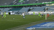 Football Sport GIF by VfL Wolfsburg