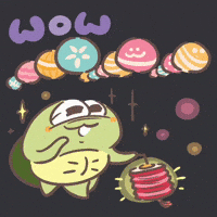 Turtle Wow GIF