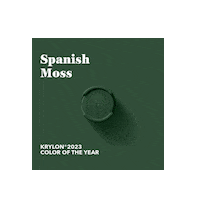 Color Renew Sticker by Krylon Brand