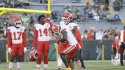 Kansas City Chiefs Football GIF by NFL