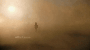 Camel Ride Wednesday GIF