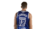 Sport Basketball Sticker by Basket_fi