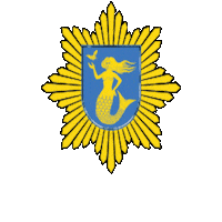 paijatha logo pela pelastuslaitos päijät-hämeen hyvinvointialue Sticker