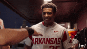 Ncaa Baseball GIF by Arkansas Razorbacks
