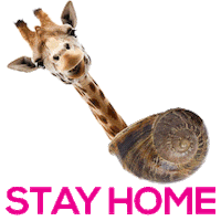 Agency Advertising Sticker by Giraffes