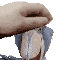 Petpet Shoebill Sticker