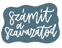 Momentum Szavazas Sticker
