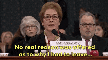 news impeachment impeachment inquiry impeachment hearings day two marie yovanovitch GIF