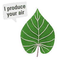 Forest Save Sticker by WWF Deutschland