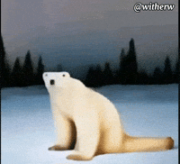 Bear Warming GIF