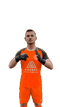 Fight Keeper Sticker by sgschneifel