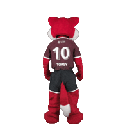 Celebrate Euro 2024 Sticker by UBS Schweiz