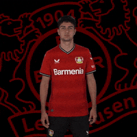 I Love You Kiss GIF by Bayer 04 Leverkusen