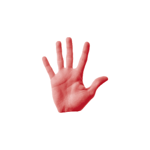 100Leiden hello wave hey hand Sticker