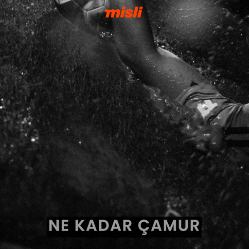 Sponsor Tammy GIF by Misli