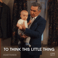 GIF by Schitt's Creek
