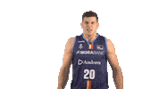 Liga Endesa Basketball Sticker by ACB