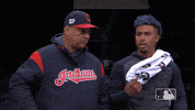 mlb regular season baseball GIF by MLB