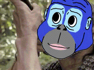 Ronke GIF by Tribally