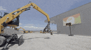 bergeratmonnoyeur cat tv live show GIF