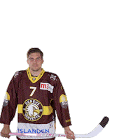 Ice Hockey Sport Sticker by Genève-Servette Hockey Club