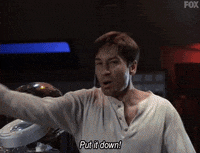 x files GIF by The X-Files