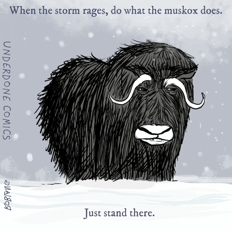 Stay Strong North Pole GIF by Underdone Comics