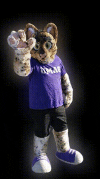 umag universidad mascota estudiantes egresados GIF