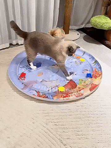 Miguel12297600 giphyupload GIF