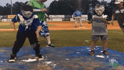 baseball pie GIF by Coastal Plain League