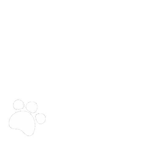 Cat Dog Sticker
