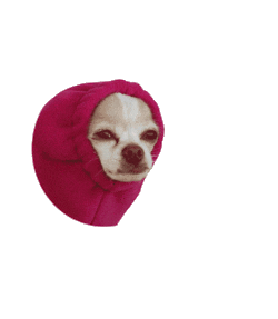 Dog Emoji Sticker