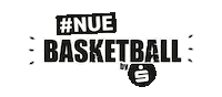 nürnberg falcons nuebasketball Sticker by SPKNBG_1821