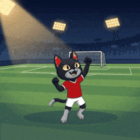 Lets Go Omg GIF by CATBAT