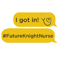 I Got In Sticker by UCF College of Nursing