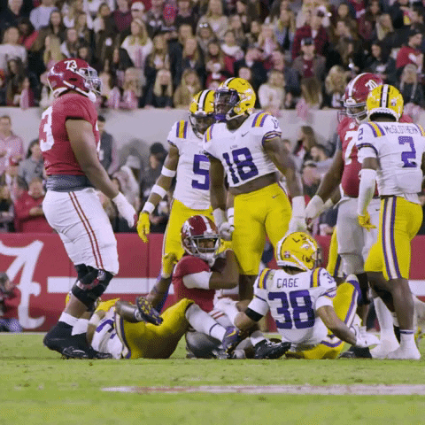 Lsu Football GIF by LSU Tigers