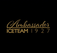 Iceteam1927 gelato pastry pasticceria italian gelato GIF