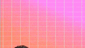 come see me GIF by BOSCO