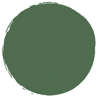 Behind The Scenes Green Circle Sticker by Journeywomen