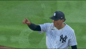 New York Yankees Sport GIF by MLB