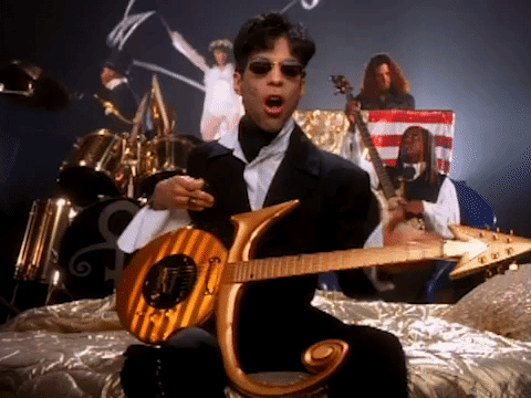 prince dolphin GIF