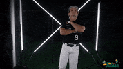 Tulane Rollwave GIF by GreenWave