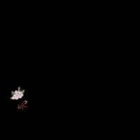 uzualoficial uzual uzual calçados uzual indaiatuba uzual campinas GIF