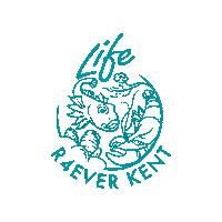 Conservation Ecology Sticker by The Riverfly Partnership