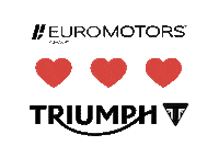 Euro Motors Group Sticker by Grupo Euro Motors