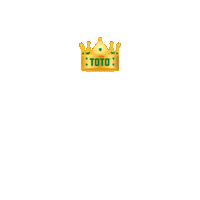 Rkc Waalwijk Team Sticker by Toto