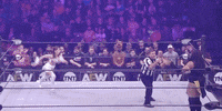 Aew On Tnt Wrestling Match GIF by All Elite Wrestling on TNT