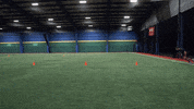 GIF by Hockey Training