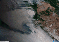 Wildfires GIF by GIPHY News